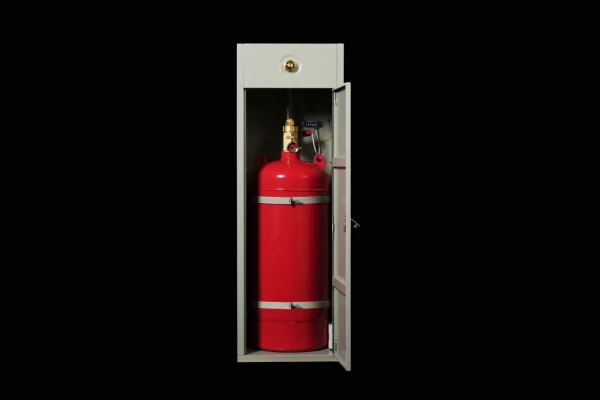 CO2 Fire Extinguisher